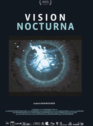 Vision nocturna
